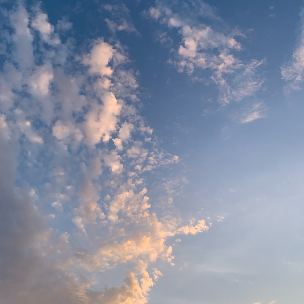 Meet your Posher, Katherine